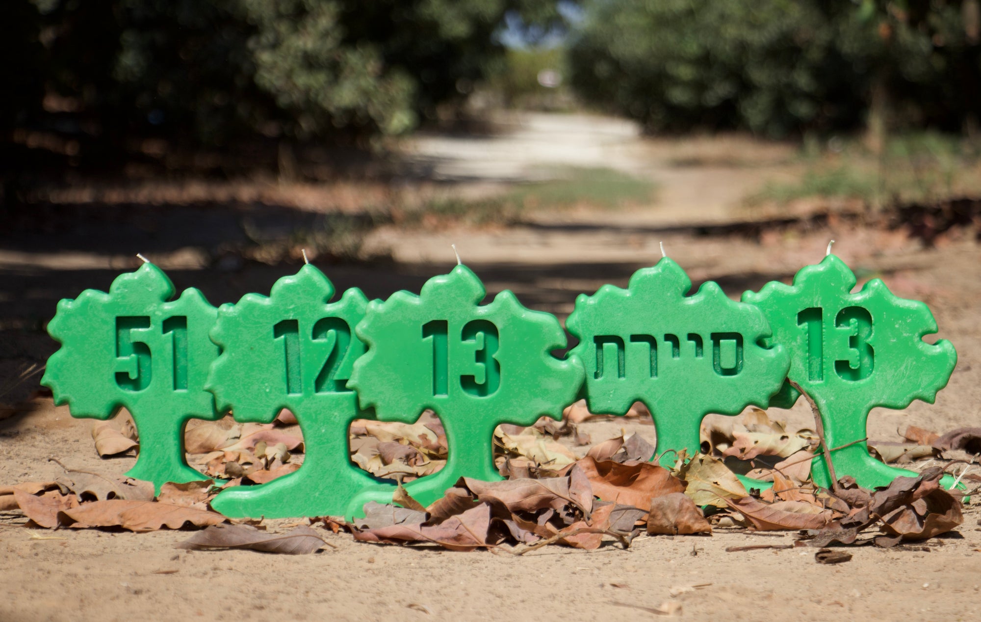 העץ של גולני