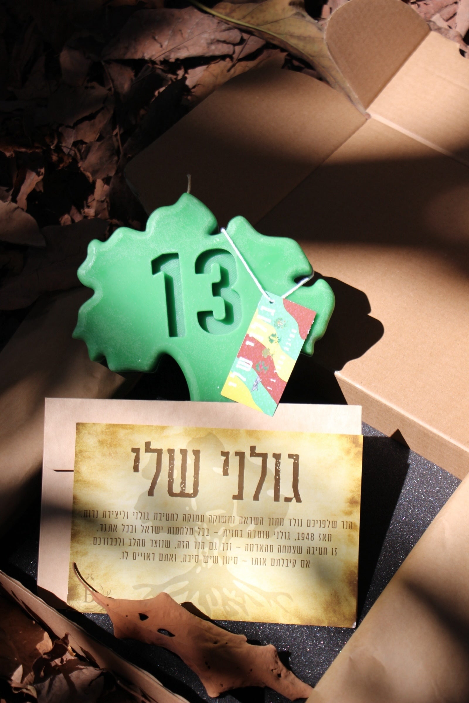 העץ של גולני