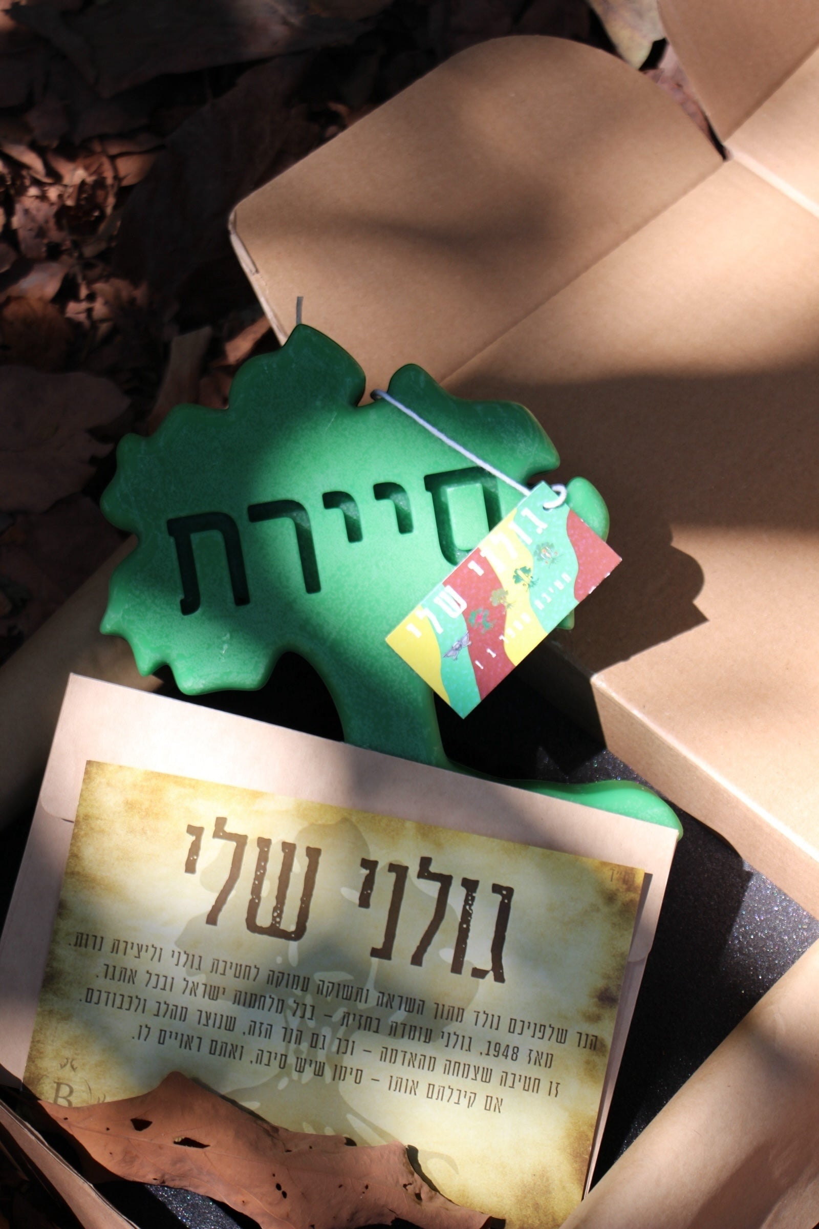 העץ של גולני