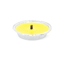 לפיד ציטרונלה